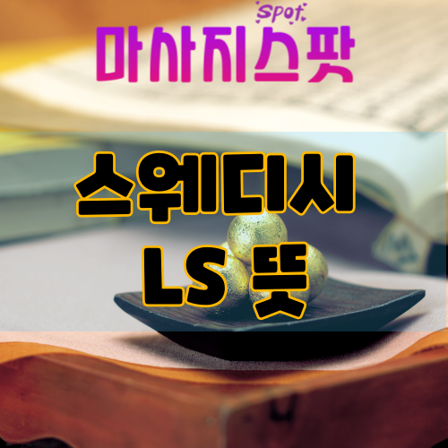 스웨디시 LS 뜻