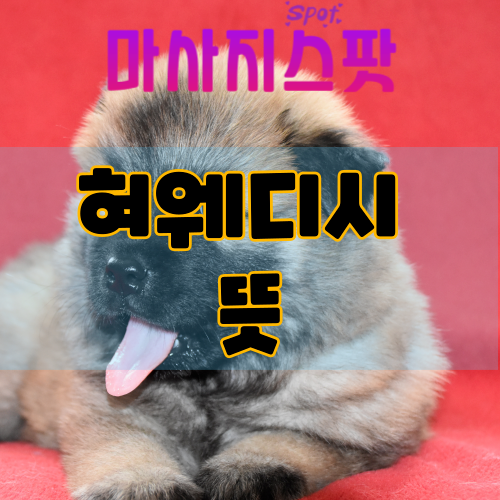 혀웨디시 뜻,