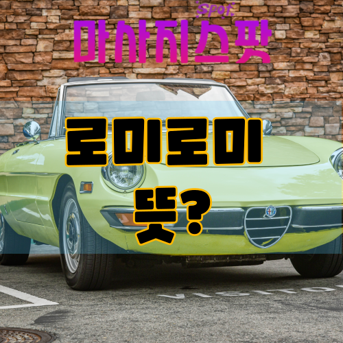 로미로미 뜻